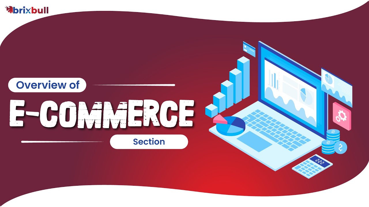 Brixbull's Smart Chat Bot  Strategies: Maximizing Sales with the Ecommerce Section Overview