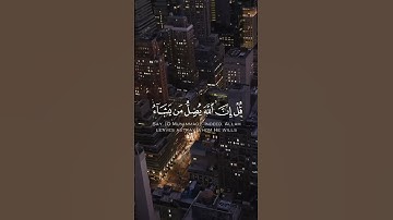 الله يبسط الرزق لمن يشاء ويقدر 🍃سورة الرعد 🍃القارئ اسلام صبحي