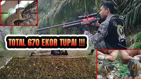 Berburu Tupai dapat 670 ekor !!!Event Hunting Camp Ceria 2019 Bontang