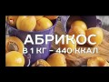 10 фруктов от которых можно потолстеть