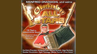 Ein Musikant kennt kein Zuhause (RadioVersion)