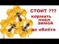 Не кормите без надобности пчёл !!!!  Вы им сделаете только хуже!