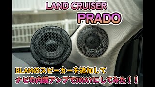 BLAM LM80 スピーカー 楽天市場】LM80 BLAM ブラム LIVE ライブ 8cmミッドレンジ