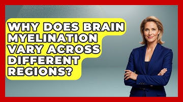 Why Does Brain Myelination Vary Across Different Regions? - Brain Development Hub