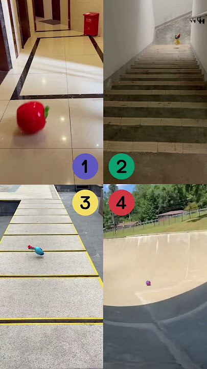 funny boomerang collection