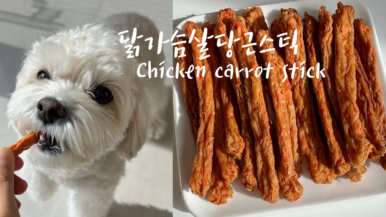 강아지 닭가슴살 당근 스틱 만들기 | 강아지 수제간식 만들기 | Homemade Dog Treats