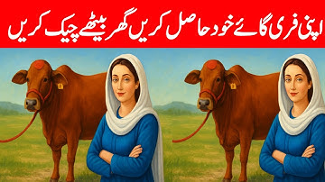 BISP Free Animal Program | Ehsaas Muft Janwar Scheme Online Apply Form | Banzer income sport program