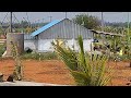 Low budget farmland   Redsoil   23cents  @19Lk call 861 073 8634