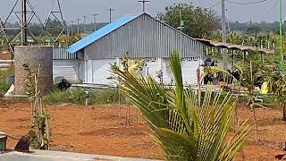 Low budget farmland   Redsoil   23cents  @19Lk call 861 073 8634