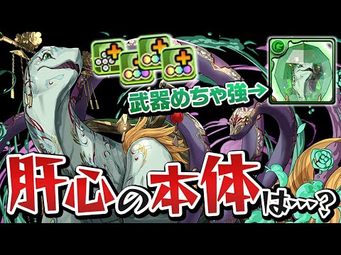 メイメイ=トータスを交換してリーダーで使ってみた結果…【パズドラ】