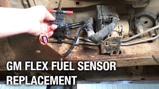 GM Flex Fuel Sensor Replacement | Installation Spotlight