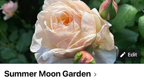 Cộng đồng Facebook mới của Summer Moon Garden 💖😃