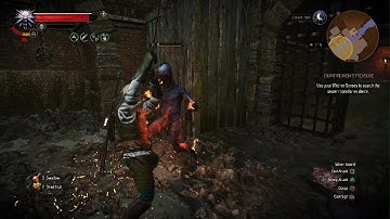 The Witcher 3 - Main Story - Count Reuven