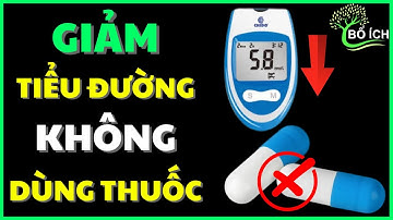 Cách Giảm Tiểu Đường Type 2 Chỉ Bằng Chế Độ Ăn Uống Mà Không Dùng Thuốc - Kênh Sức Khoẻ Bổ Ích