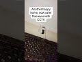 Wireless CCTV Installation at Customer’s Home | Complete Setup