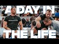 A day in the life olympic wrestling champion david taylor