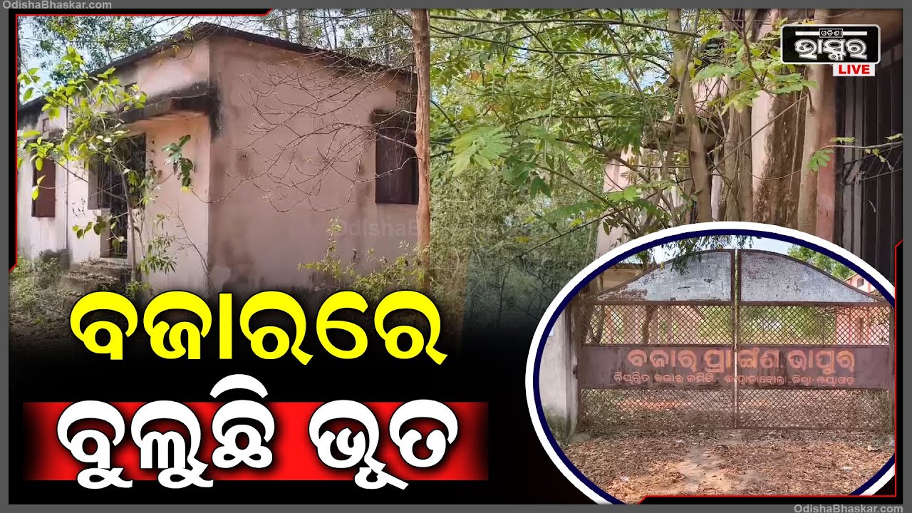 ଶ୍ମଶାନ ପାଲଟିଛି ବଜାର ଭୂଇଁ...ବୁଲୁଛି ଭୂତ, ଲୋକେ ହନ୍ତସନ୍ତ....