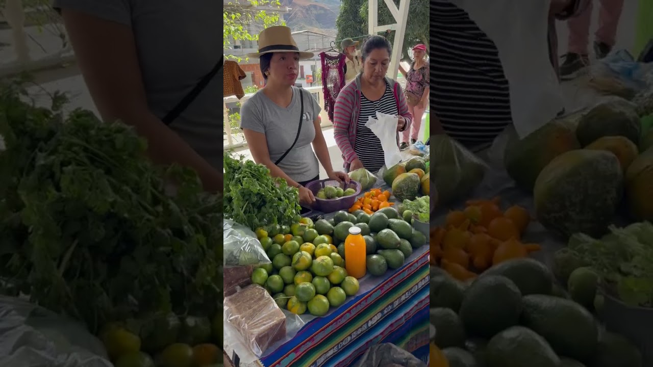 Гости ретрита по сыроедению осматривают органический рынок.