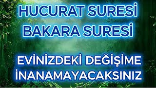 Evinizdeki Değişime Ve Güzel Ahlaka Şahit Olun / HUCURAT SURESİ VE BAKARA SURESİ DİNLE.