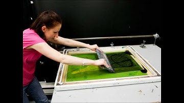 TheConstructivistProject.wmv