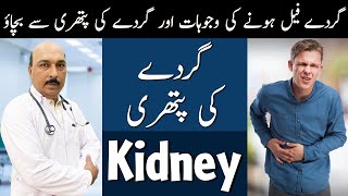 Kidney Failure & Kidney Stones | Chronic Kidney Disease | Dr. Kashif