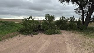 Lincoln County Sheriff’s Office asks for public’s help in finding person who cut down trees