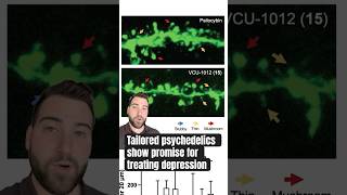 A new tailor-made psychedelic to treat depression