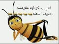 انتي بسكوتايه مقرمشه بصوت النحله