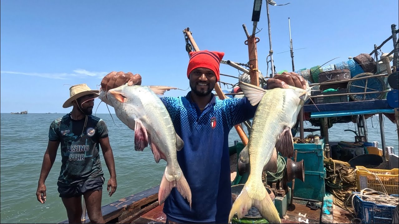 खोल समुद्रात केली पाका मासेमारी. Deep sea Hook fishing. Mumbai India fishing