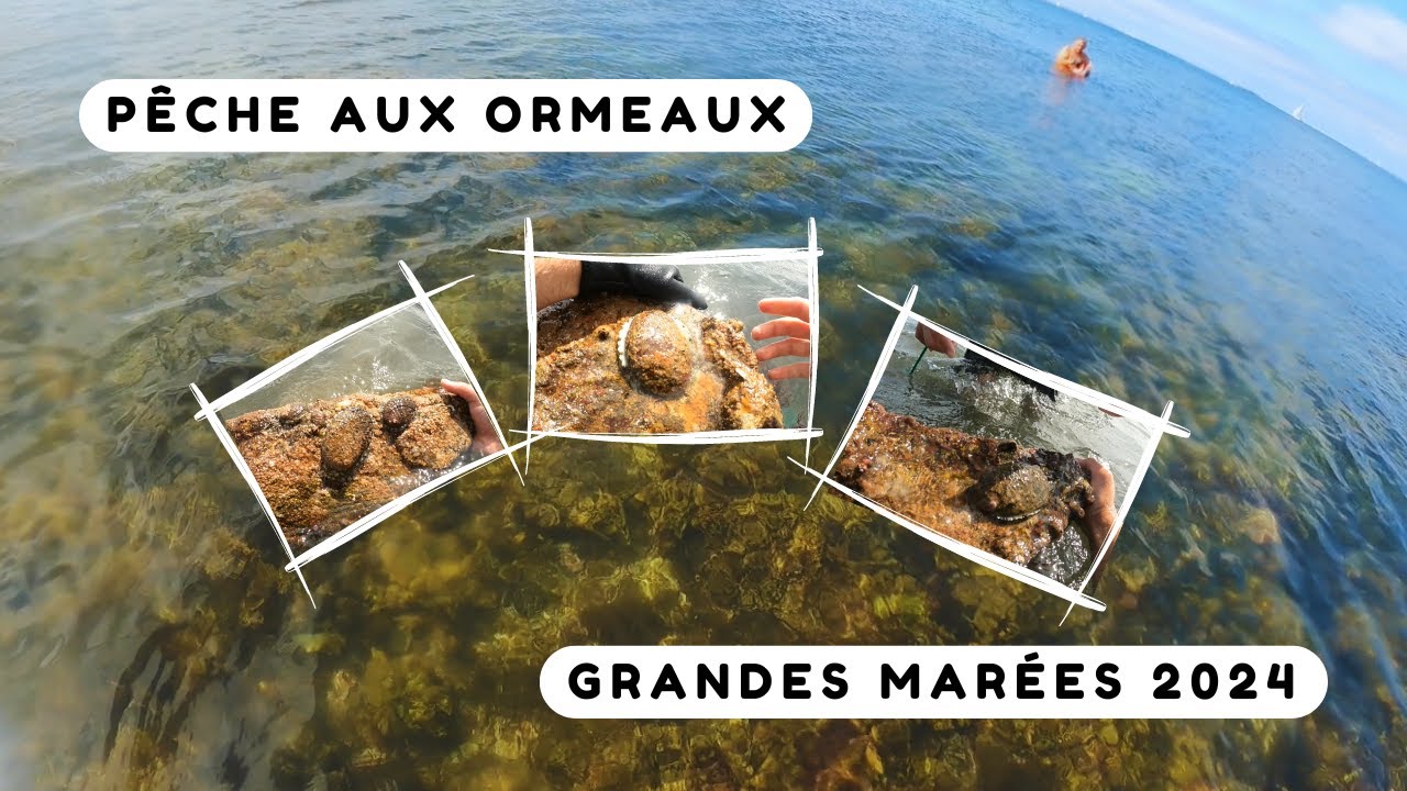 Leurres de pêche en ormeau, lot de 8 leurres vintage, leurres