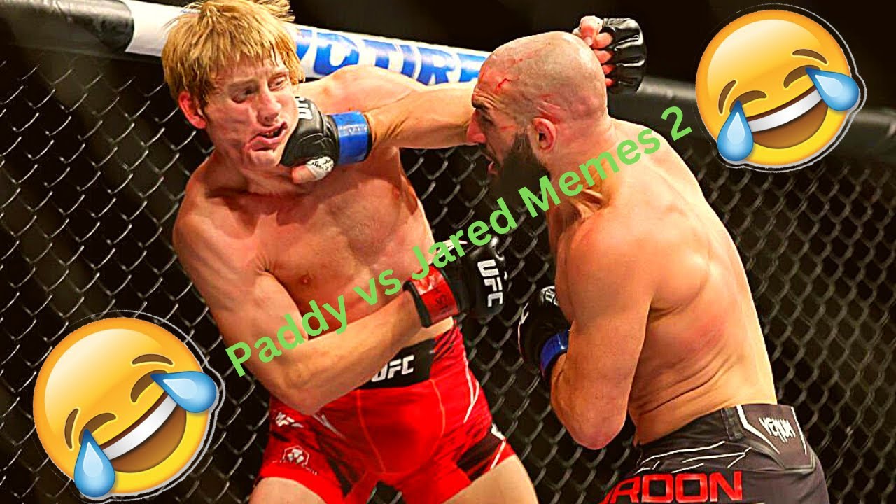 Paddy Meme Paddy Pimblett vs. Jared Gordon MEMES 2 - YouTube