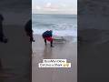 BossMan Dlow Catches a Shark 😳