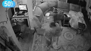 Kid Tries To Destory A Fan But Fails