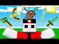HO UNITO TUTTE LE ARMI DI MINECRAFT IN UNA SOLA - Minecraft ITA