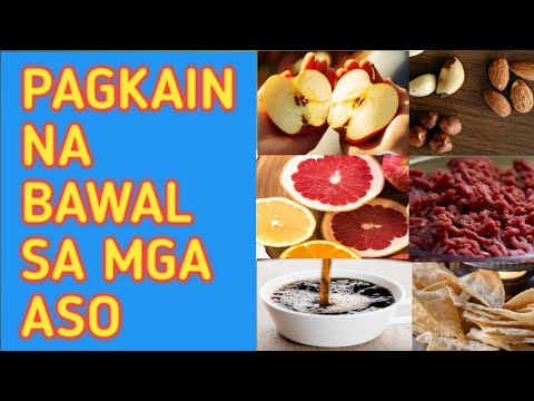 Video: Ang Innova Dry Na Pagkain Ng Alagang Hayop, Biskwit, Bar At Mga Produktong Ginagamot Ay Naaalala