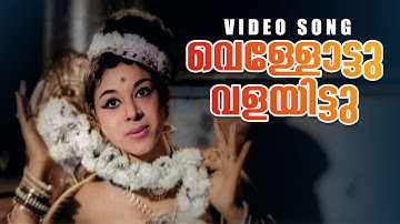 Vellottu Valayittu Video Song | Othenante Makan | P Susheela | G Devarajan | Vayalar