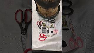 Orient Express week 11 of flower#livingsoil #organicgarden #organic #plants #viral #garden #shorts