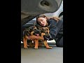 Une Mère Chien Suppliait… Jusqu’à Ce Qu’Une Femme #oração #funny #animals #jesus #amen