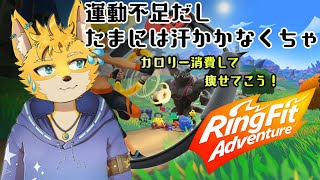 【リングフィットアドベンチャー】たまには汗かいて運動しようか！ #2