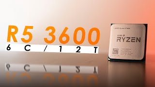 Ryzen 5 3600 in 2024  Best Budget CPU to Buy Right Now