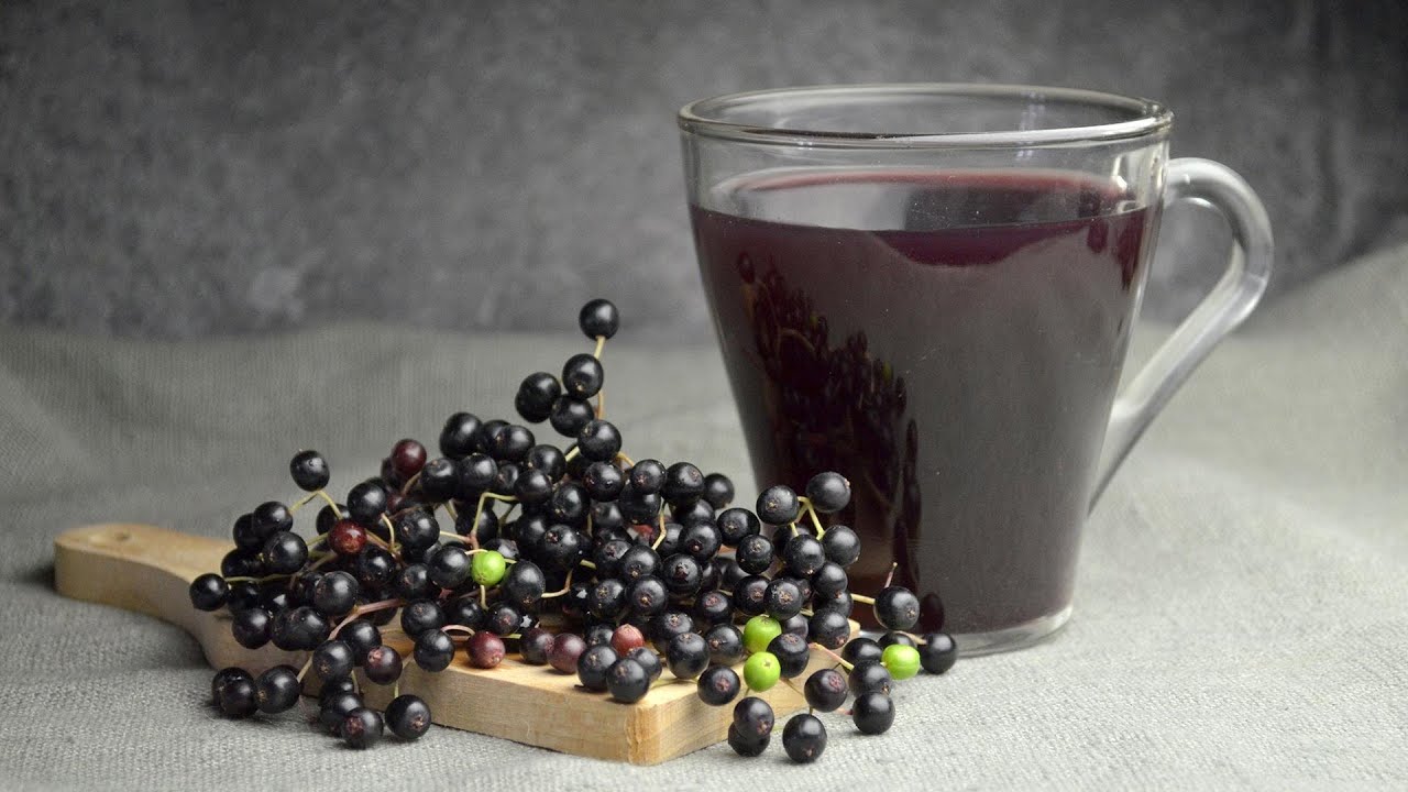 The Definitive Guide to Black Elderberry Benefits YouTube