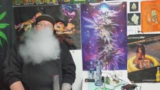 Orange cookie  Review