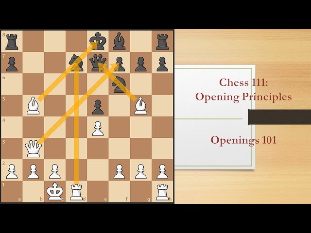 3 Basic Principles of openings in chess, video 1