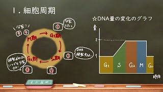 おうち生物　19. 細胞周期と体細胞分裂  (高校生物)