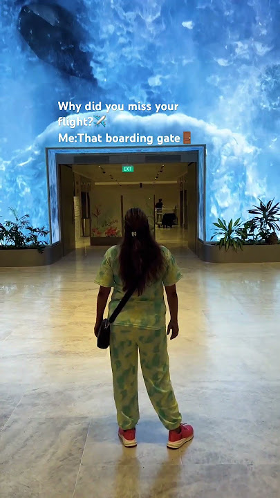That dreamy gate🚪Cant get over from it 😇#changiairport #singaporevideos #airport #beautifulgate❣️