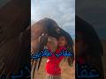 طلب عقاب طلایی توسط یسنا خانوم کوچولو دختره کوهستان عقاب آموزش کفتر تربیت مرغابی شاهین قرقی
