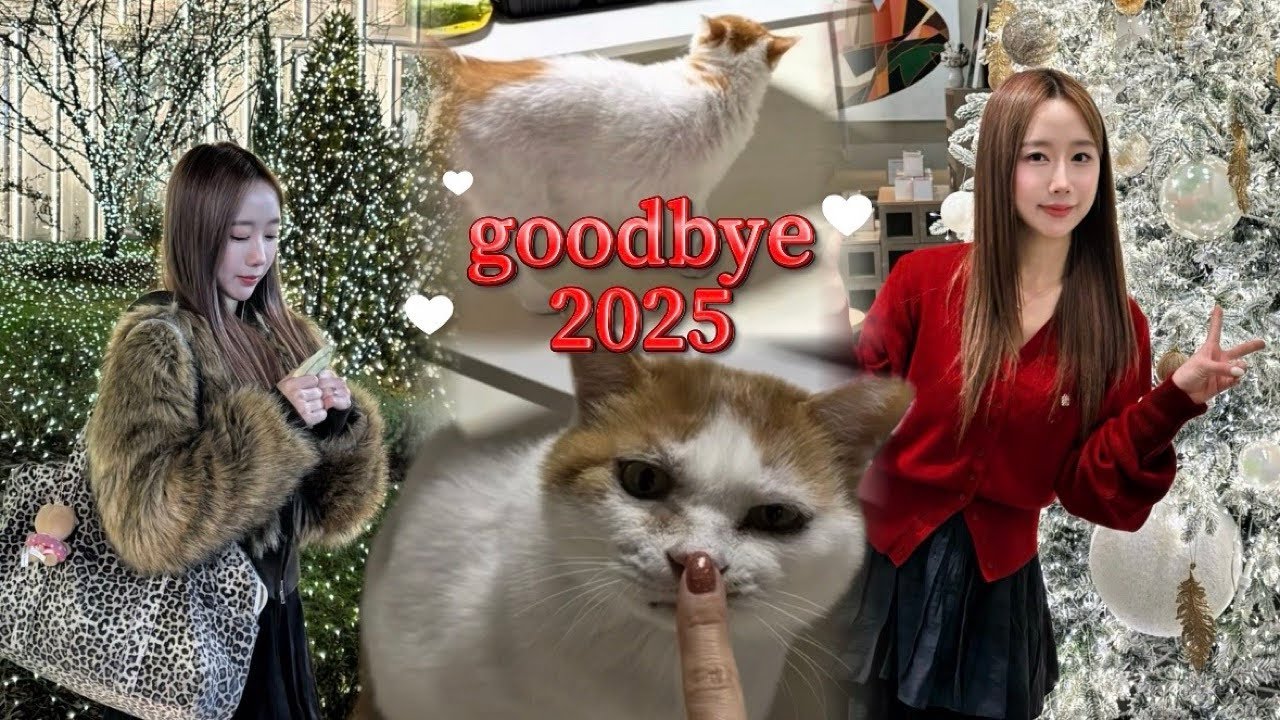 [일상vlog] 먹고 웃으며 행복했던 연말브이로그🎄| goodbye 2025✨| 뒤늦게 꺼내보는 연말 기록 | 스지전골+살치살타다끼+닭다리살구이+조개탕+마라전골+보쌈+족발+두루치기