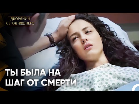 Сбила девушку и скрылась | Дворянин Сегодняшнего