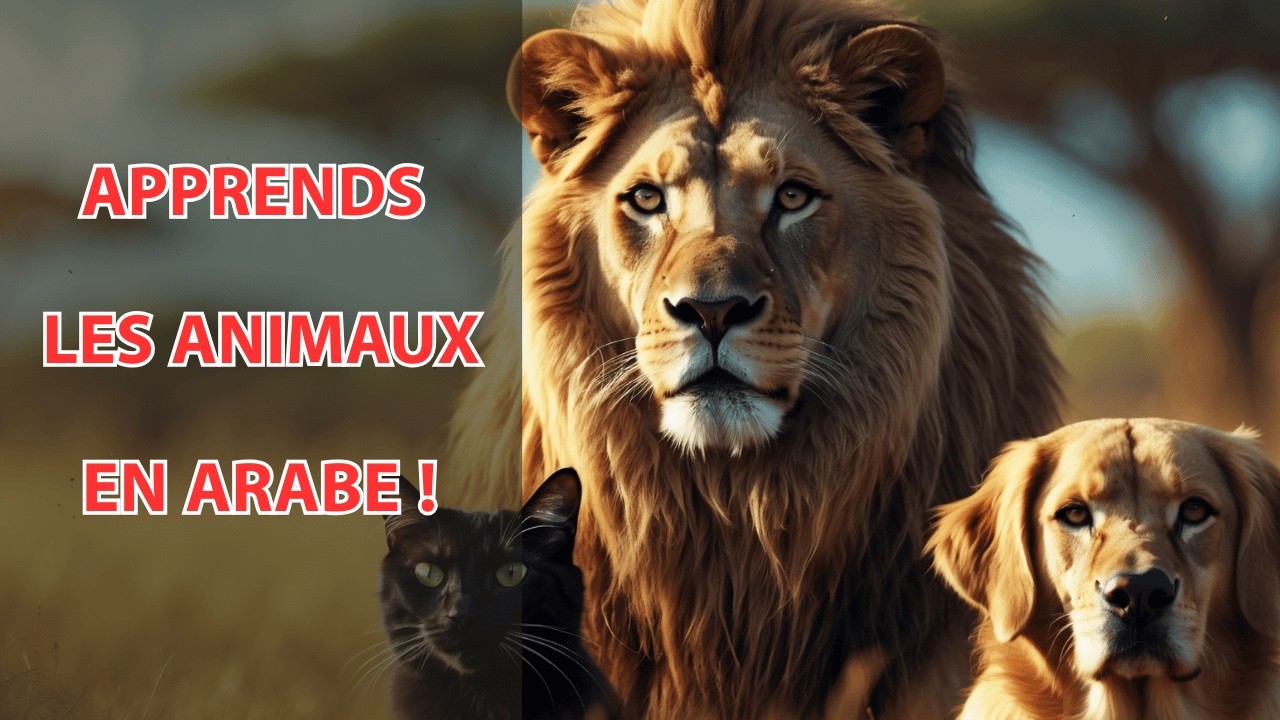 Découvre Comment Apprendre Les Noms d'Animaux En Arabe Facilement ? (Méthode Rapide Avec Exemples)