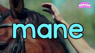 Phonics - Word Families: -ane Information